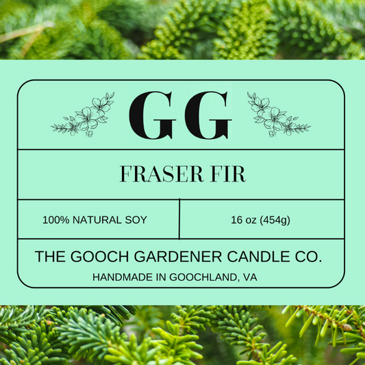 Fraser Fir